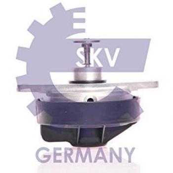 SKF ESEN 14skv023 AGR de válvulas