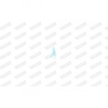 Tornillo sistema de escape WALKER 80660 para Golf IV Schrägheck (1J1) 13mm 26mm