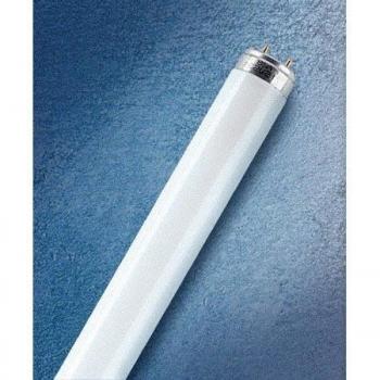 Tubo Fluorescente OSRAM T8 G13 30W 2400lm Blanco Frío Dimmable Opaco