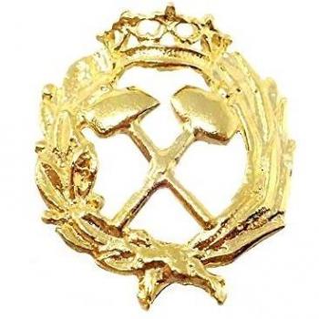 Inmaculada Romero IR Insignia Profesional Ingeniero de Minas Escudo Plata 925m Ley 18mm. Pin Chapado
