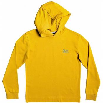 Quiksilver - Sudadera con Capucha - Niños 8-16 - Verde