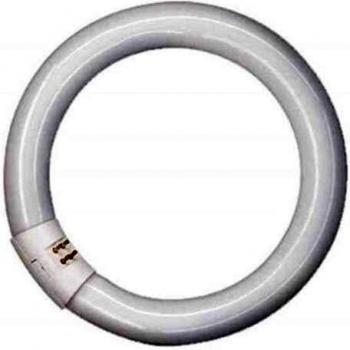 Duolec 9192C320 - Tubo Fluorescente Circular 32W 29Mm