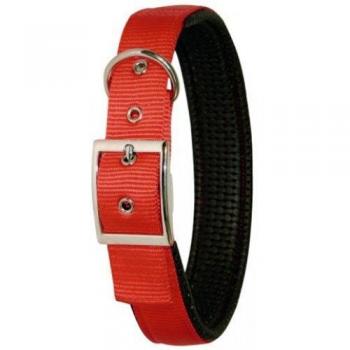 Kerbl Miami Plus Collar, 38 mm, Negro