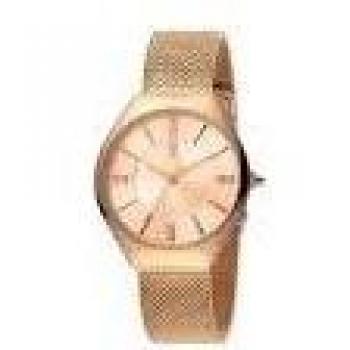 REL J Cavalli Relaxed 34 RGOLD DIAL