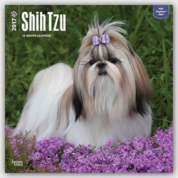 Shih Tzu 2017 - 18-Monatskalender mit freier DogDays-App: Original BrownTrout-Kalender